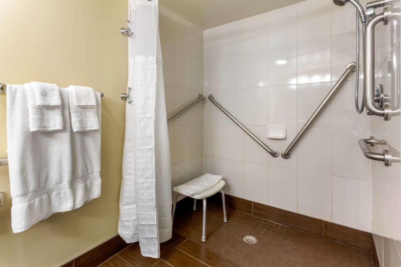 King Room with Roll-In Shower - Mobility Accessible/Non Smoking