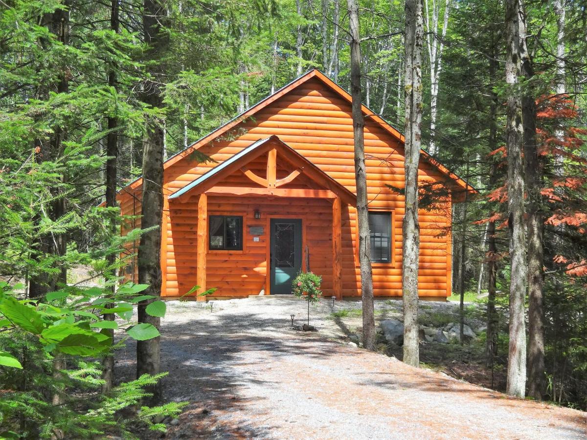 Cabin #7 - Hemlock Hideaway (Pet Friendly)